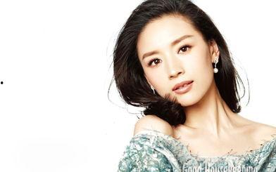 明星宽,闪耀舞台的璀璨之星